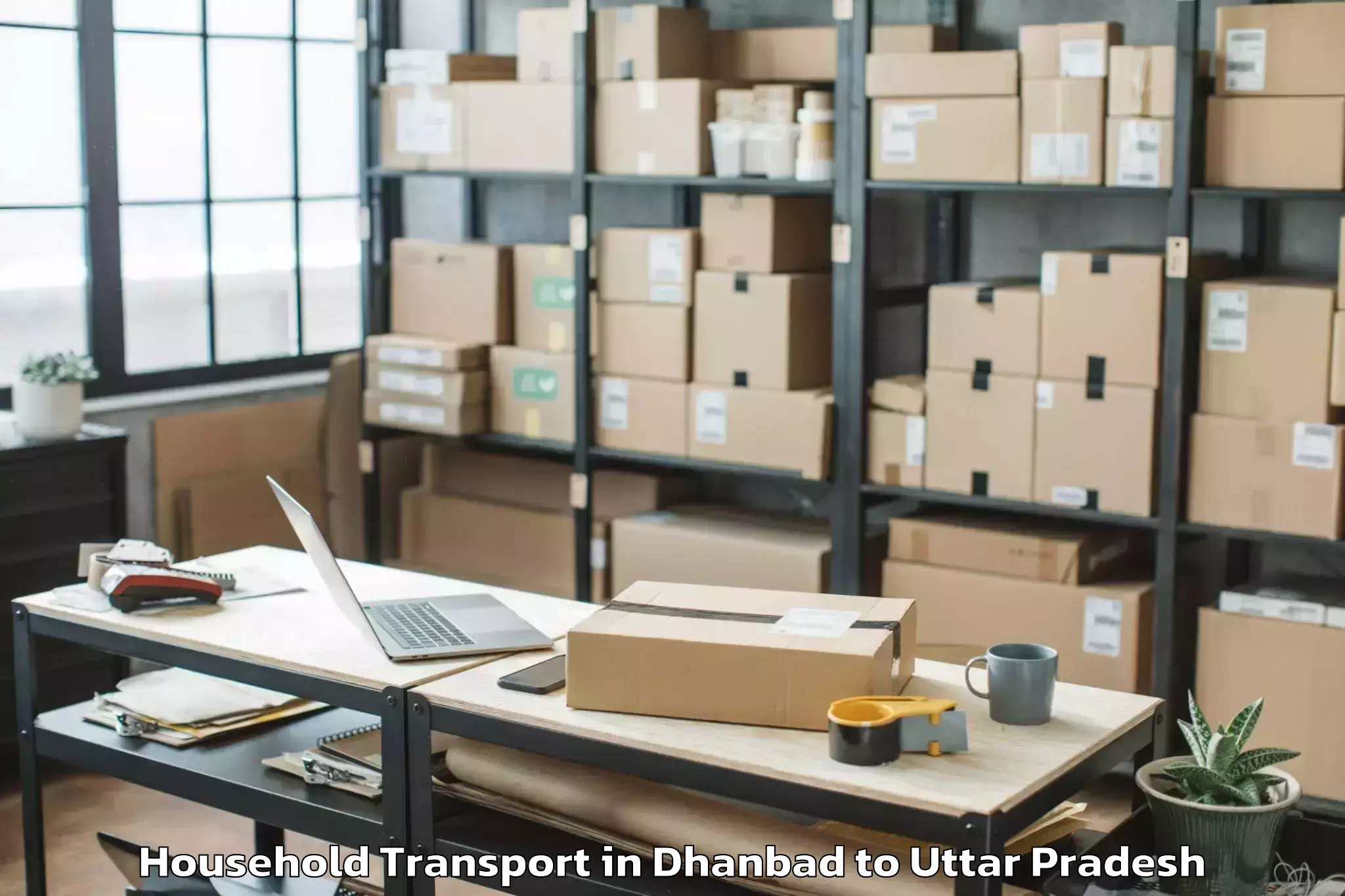 Professional Dhanbad to Phoenix United Mall Bareily Household Transport